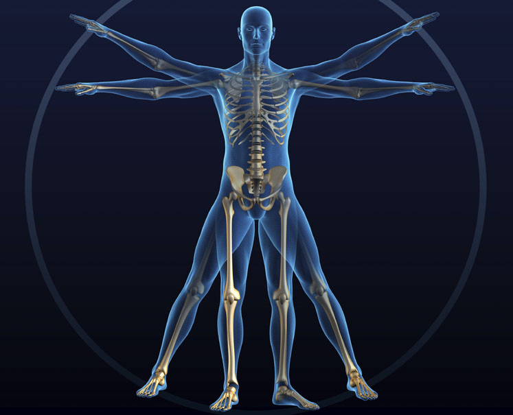 Ostanite pokretni: kako da ojačate kosti i zaštitite zglobove